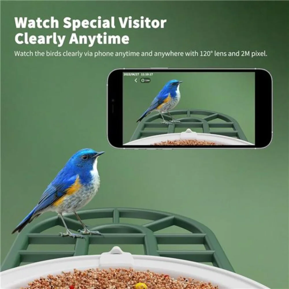Bird Feeder with Camera with AI Identify Birds Species Solar Panel, Smart Bird
